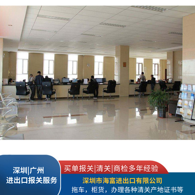 广东软件服务出口报关规定解析与操作指南